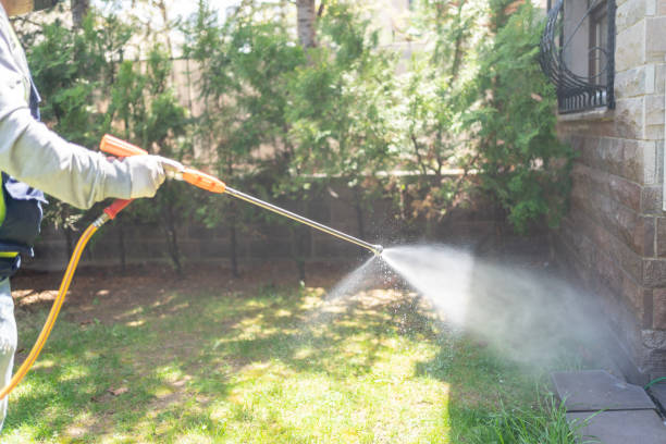 Reliable Mora, MN Pest Control Solutions